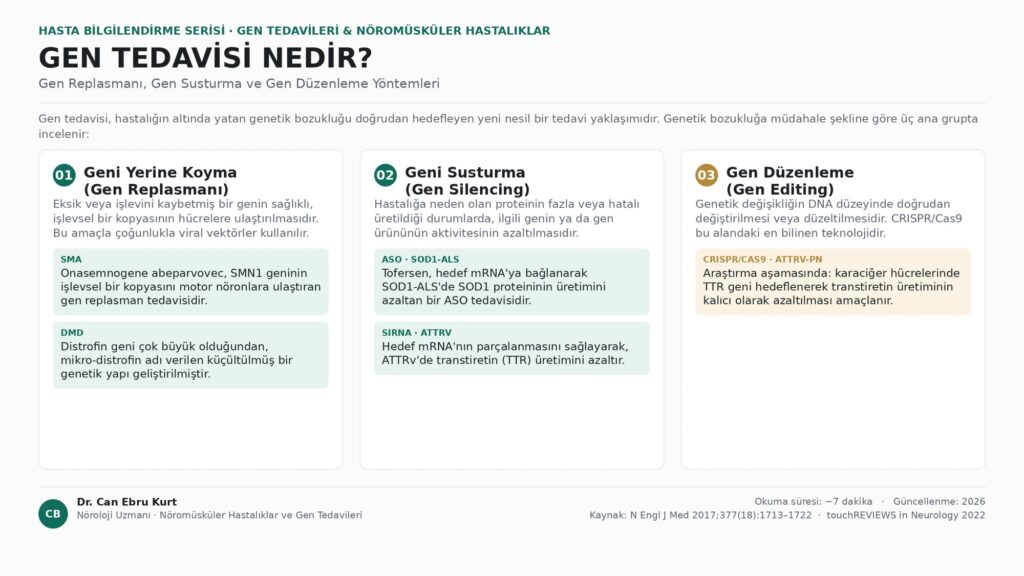 Gen Tedavisi Nedir? Gen Replasmanı, Gen Susturma ve Gen Düzenleme Yöntemleri